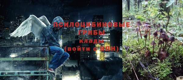 стаф Липки