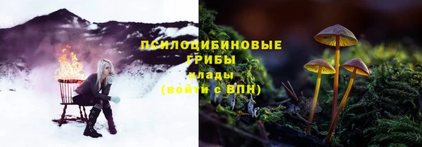 ГАЛЛЮЦИНОГЕННЫЕ ГРИБЫ Лабытнанги